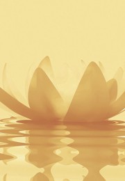 2026 New Year’s webinar–Becoming Wise to the Serpents-25€